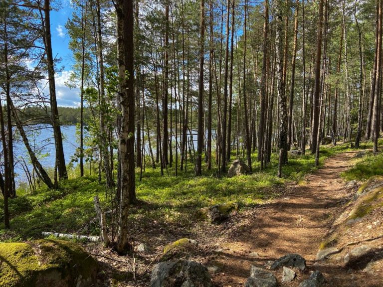 En skogsstig längs en sjö på Sörmlandsleden
