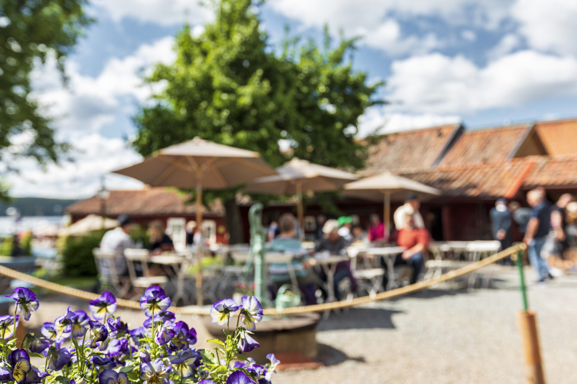 gardencafe 1